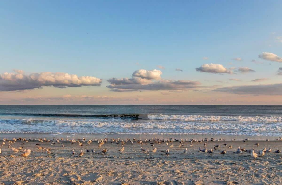 *fresh Myrtle Reno*relax*pools*beach*more*t401